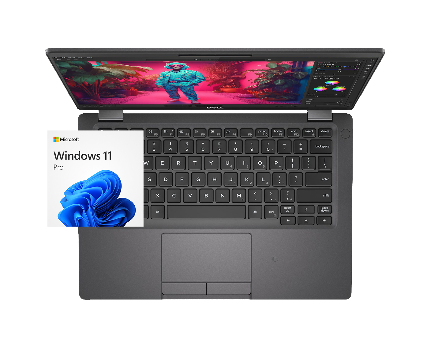 Dell Latitude 5300 / Core I5 8365U 1,6Ghz / 8Gb ram / 256Gb ssd / 13" FullHd / Windows 11 Pro / ¡Liquidación!