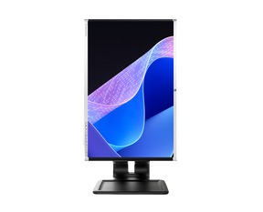 HP LA1905wg 19”, DisplayPort, Regulable en altura, ¡Liquidación!