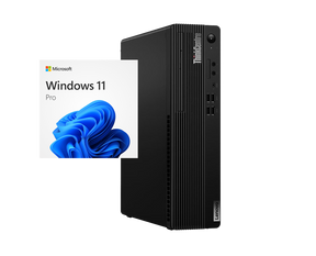 Pack Lenovo Thincentre M80s + Lenovo Thinkvision T23i-10, i5‑10500, 8GB, 500GB SATA, 23” FHD, ¡Liquidación!