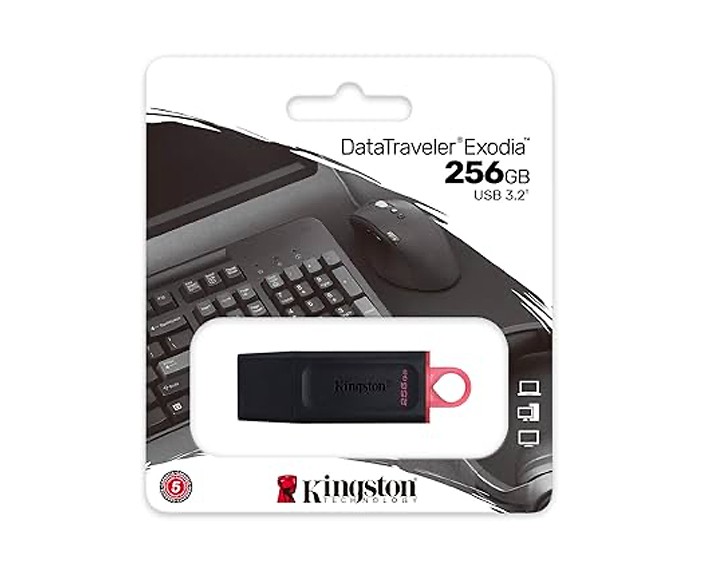 Pendrive Kingston 256Gb ¡Nuevo!